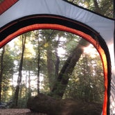 Review photo of Hidden Springs Campground — Humboldt Redwoods State Park by Craig M., August 2, 2020