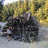 Review photo of Hidden Springs Campground — Humboldt Redwoods State Park by Craig M., August 2, 2020