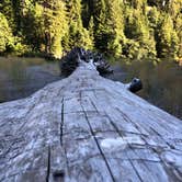 Review photo of Hidden Springs Campground — Humboldt Redwoods State Park by Craig M., August 2, 2020