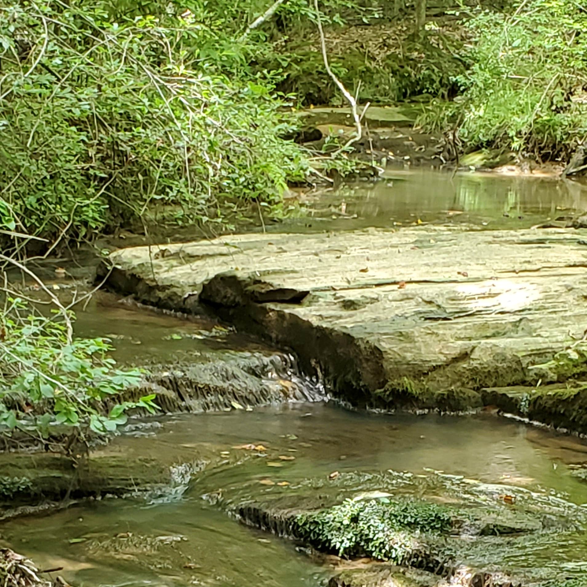 Little Tallapoosa Park Camping The Dyrt