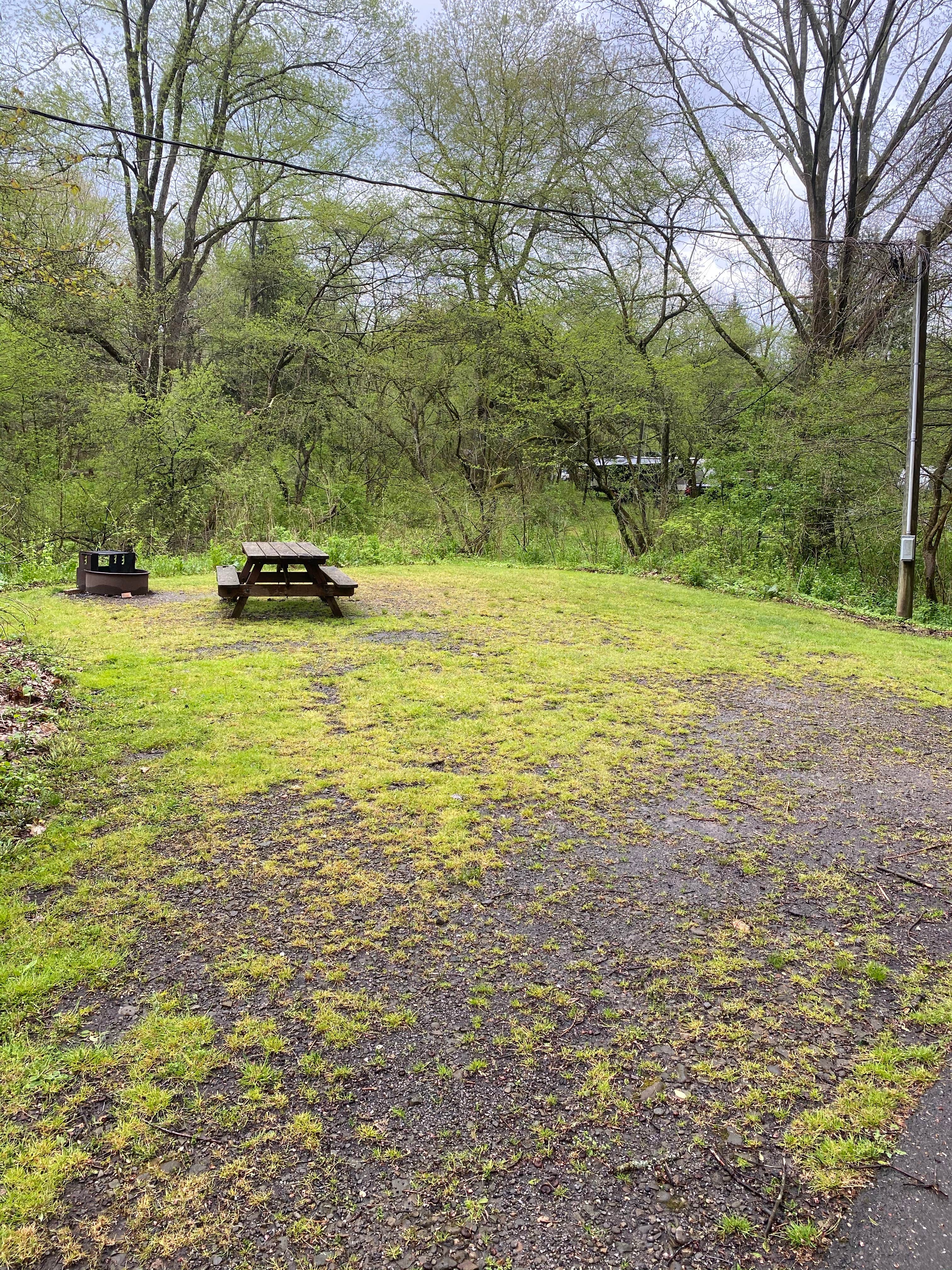 Camper-submitted photo at Buckaloons near Jamestown, NY
