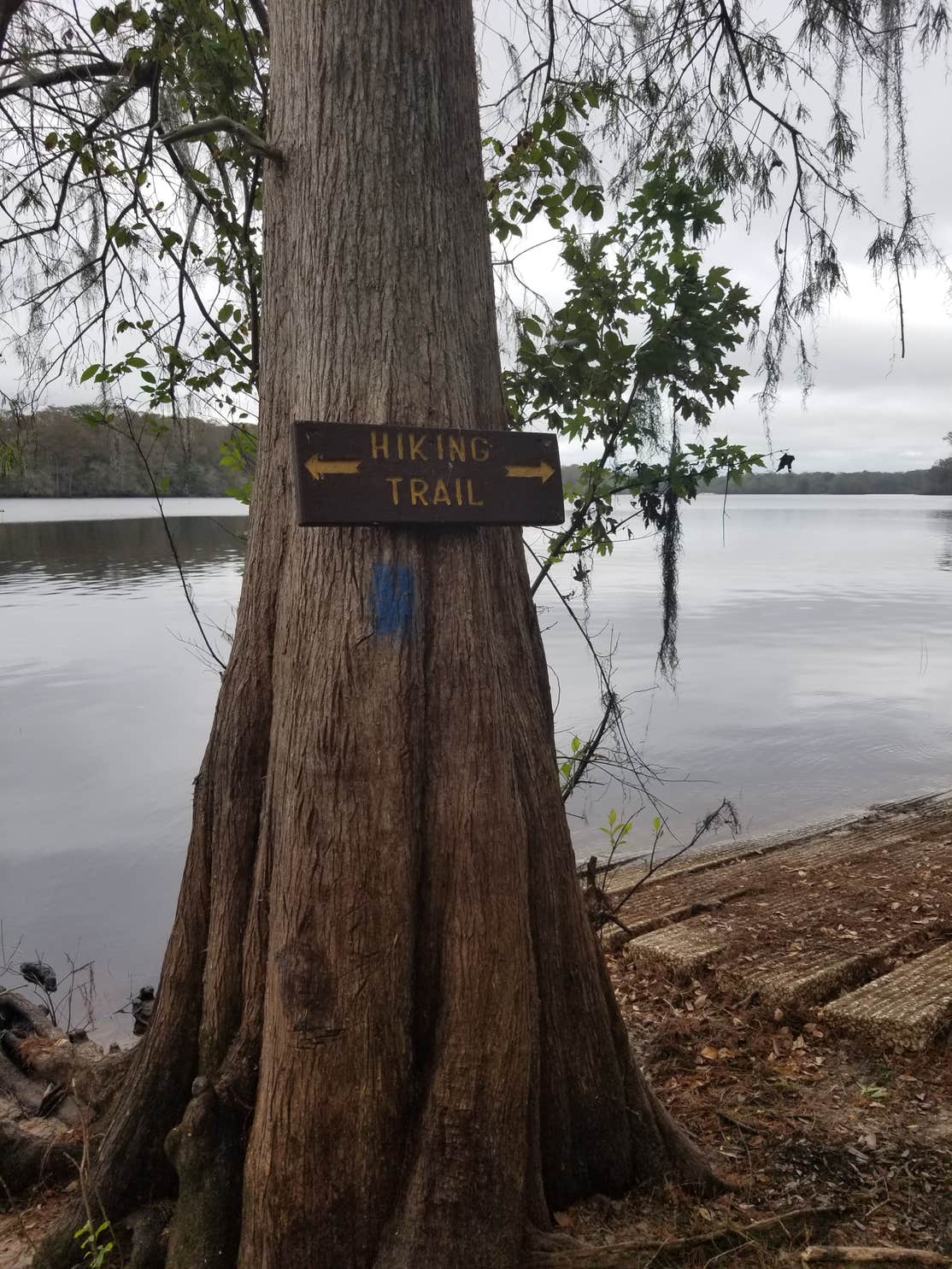 Silver Lake Recreation Area Camping The Dyrt