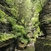 Review photo of Robert H. Treman State Park Campground by Amanda K., July 31, 2020