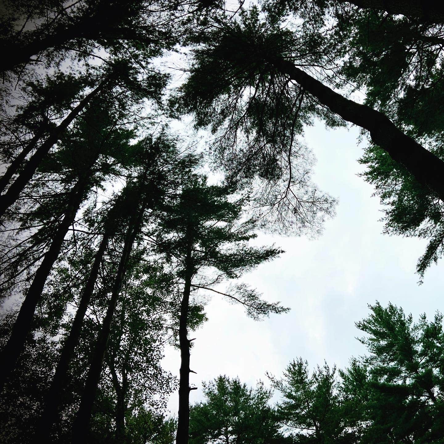 Camper-submitted photo at Nimisila Reservoir Metro Park Campground near Green, OH