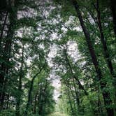 Review photo of Nimisila Reservoir Metro Park Campground by Brannon M., August 2, 2020