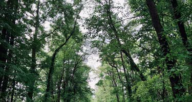 Nimisila Reservoir Metro Park Campground
