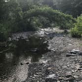 Review photo of Sprague Brook Park by Amanda K., August 2, 2020