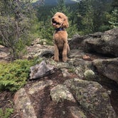 Review photo of Cold Springs - Arapaho Roosevelt Nf (CO) by Sarah F., August 2, 2020