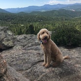 Review photo of Cold Springs - Arapaho Roosevelt Nf (CO) by Sarah F., August 2, 2020