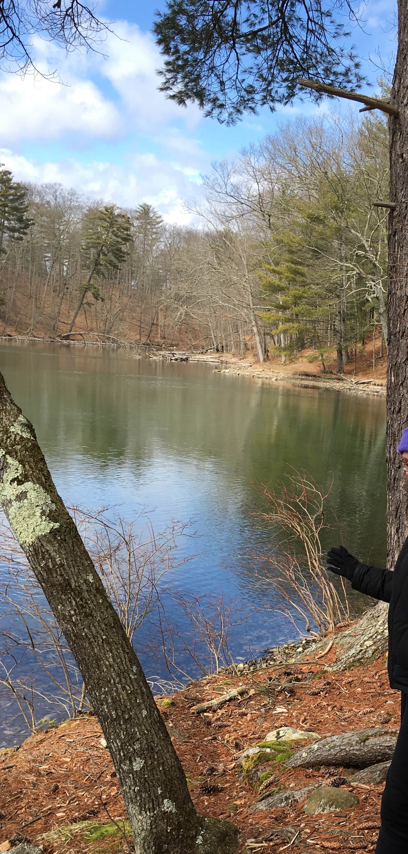 Camper-submitted photo at Chenango Valley State Park Campground near Newark Valley, NY