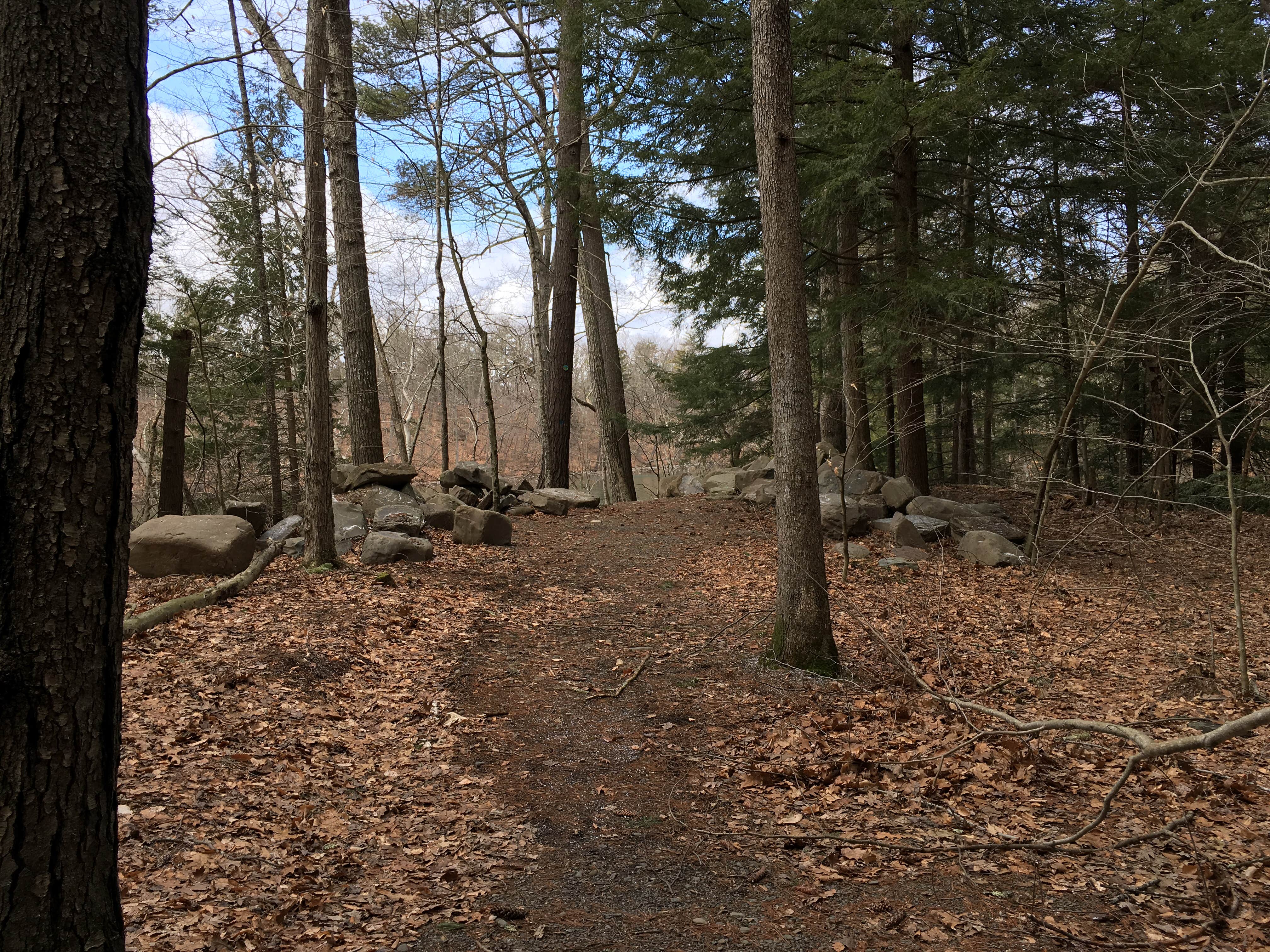 Camper-submitted photo at Chenango Valley State Park Campground near Killawog, NY