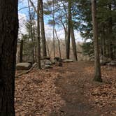 Review photo of Chenango Valley State Park Campground by Janet R., April 15, 2018