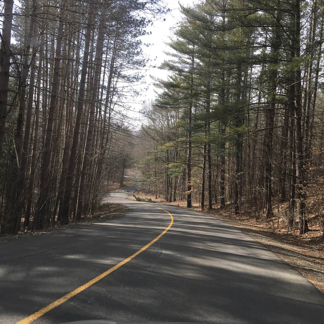 Chenango Valley State Park Camping The Dyrt