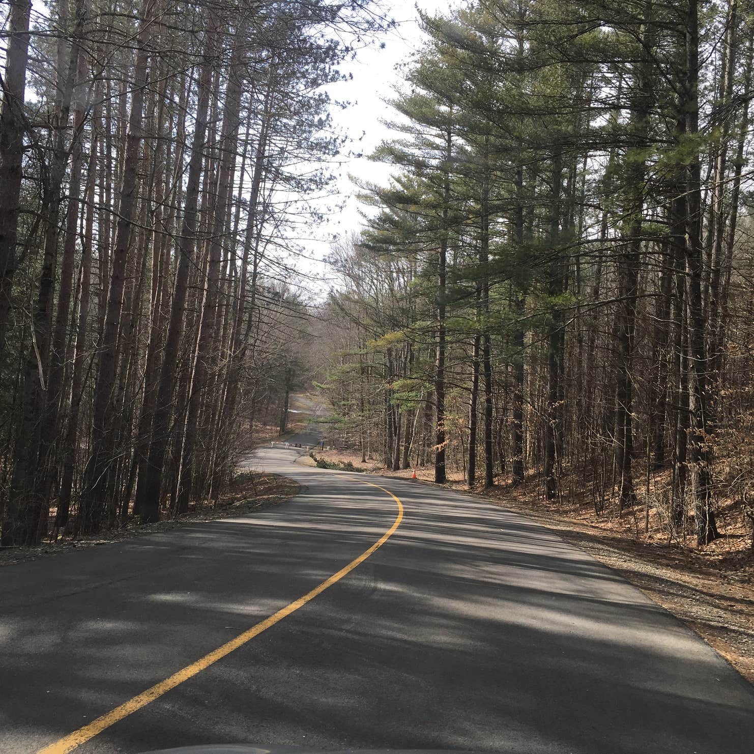 Chenango Valley State Park Camping The Dyrt