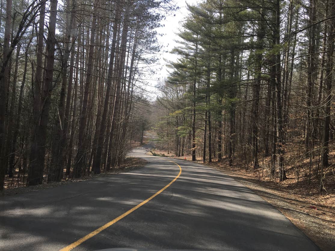 Chenango Valley The Dyrt