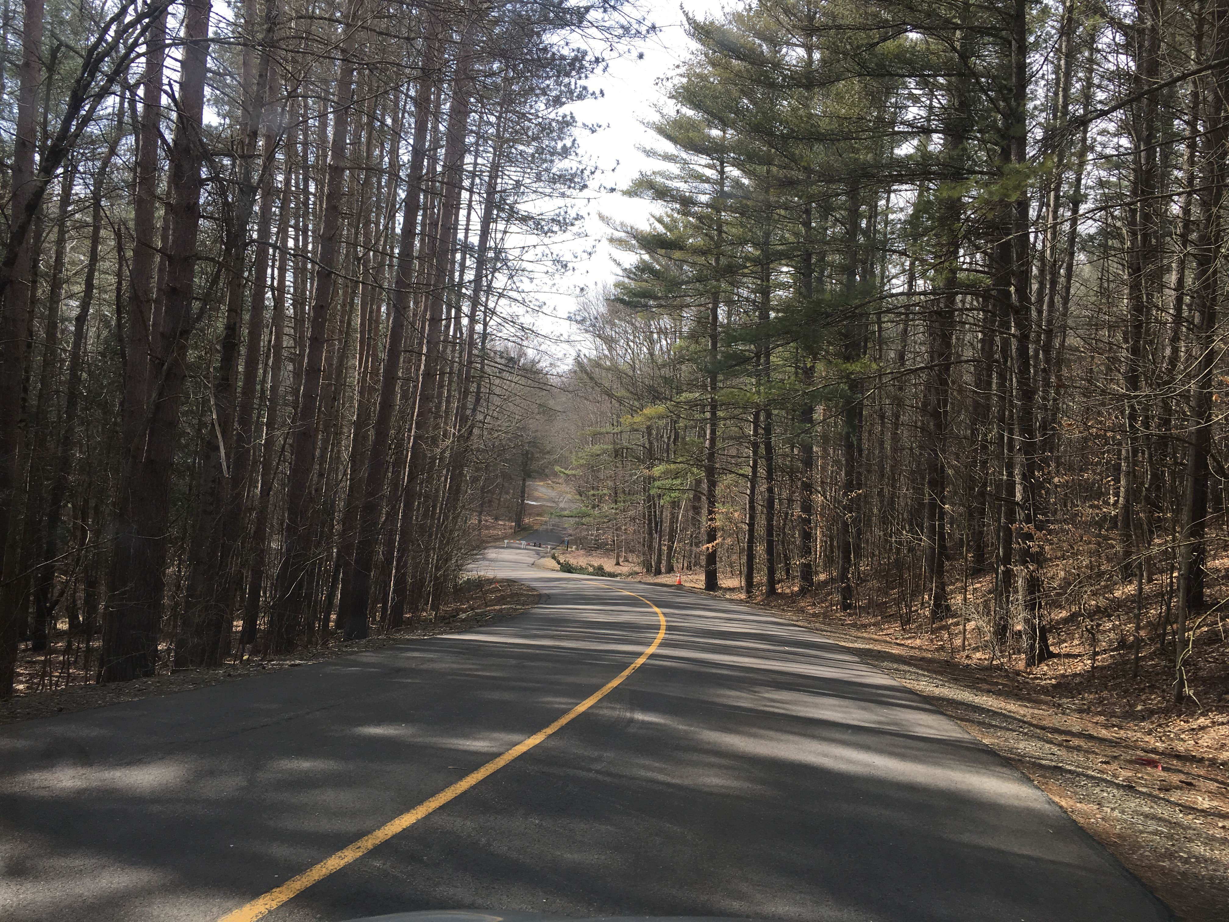 Camper submitted image from Chenango Valley State Park Campground - 3