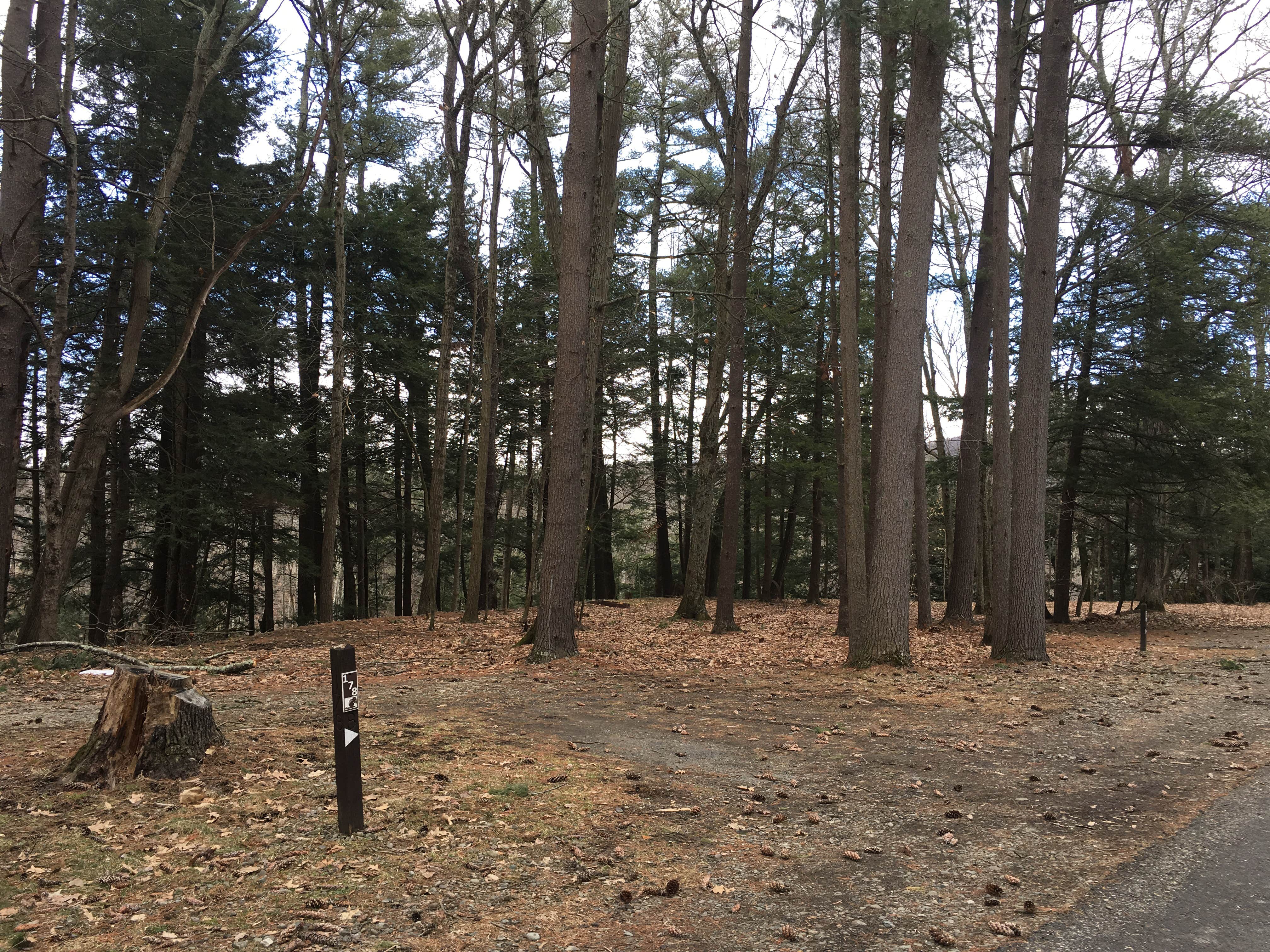 Camper-submitted photo at Chenango Valley State Park Campground near Newark Valley, NY