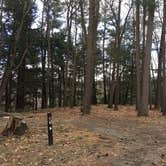 Review photo of Chenango Valley State Park Campground by Janet R., April 15, 2018