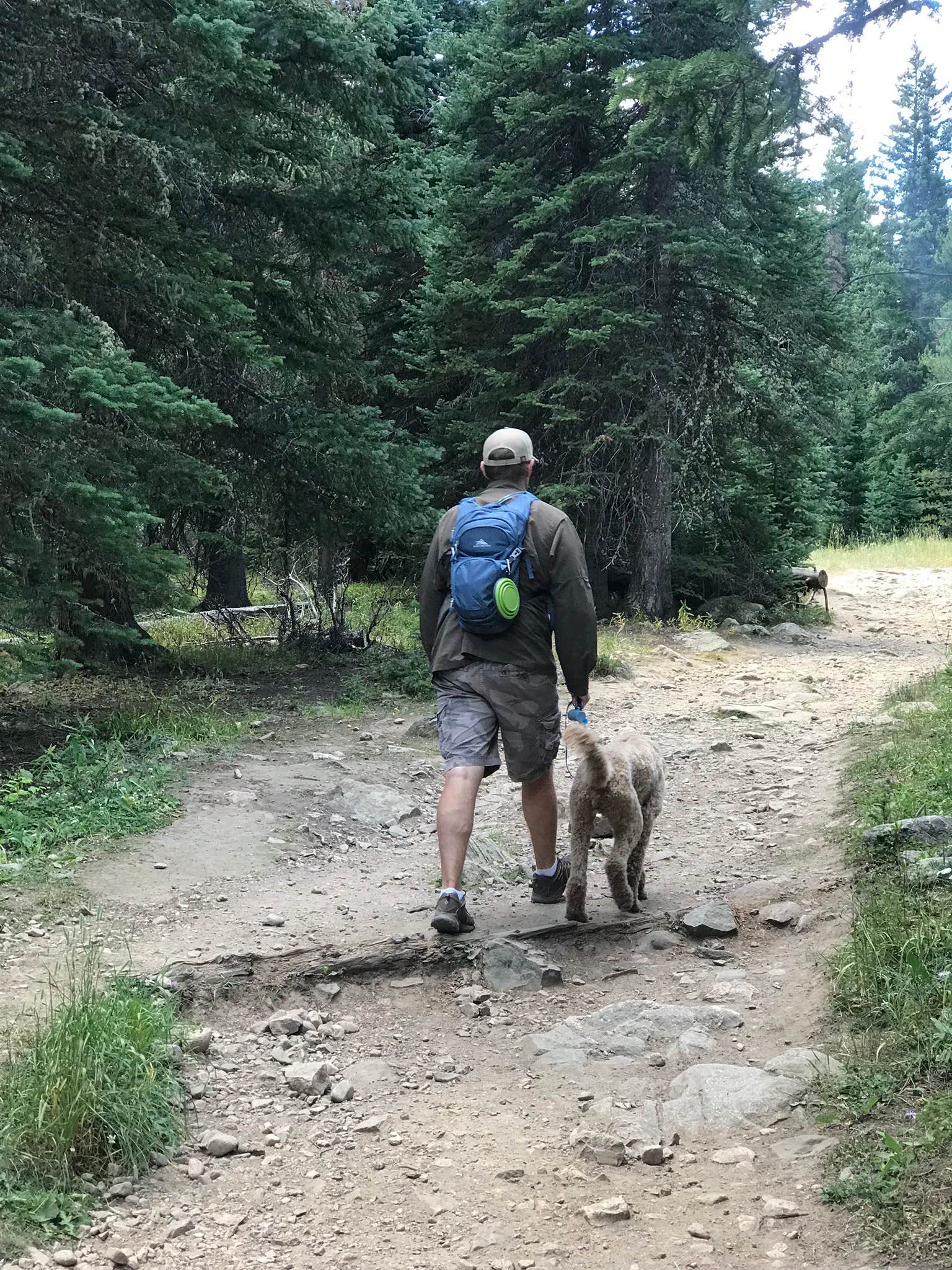 Sarah F.'s photo of camping with pets at Camp Dick near Arapaho and Roosevelt National Forests and Pawnee National Grassland