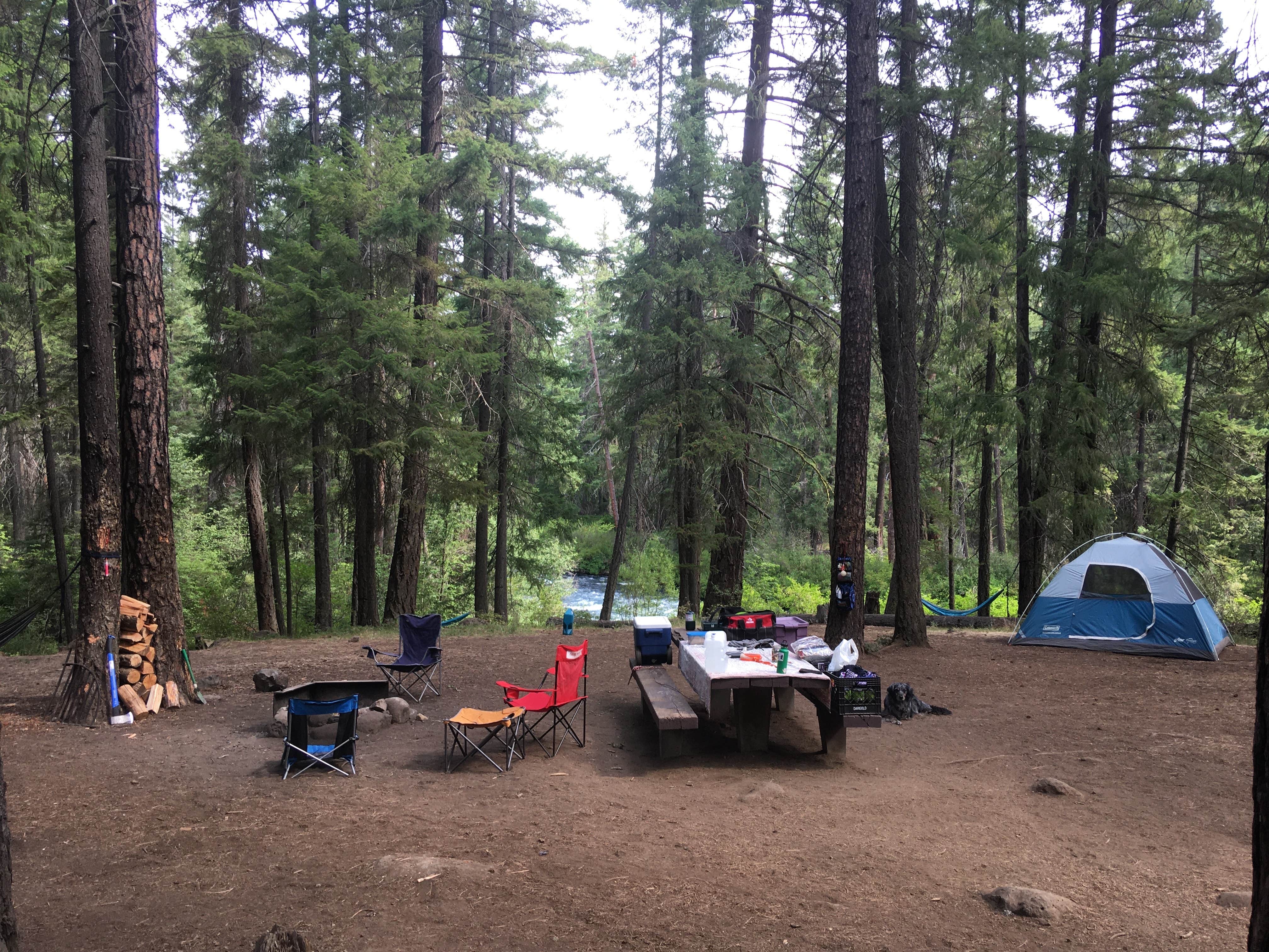 Candle Creek Campground The Dyrt