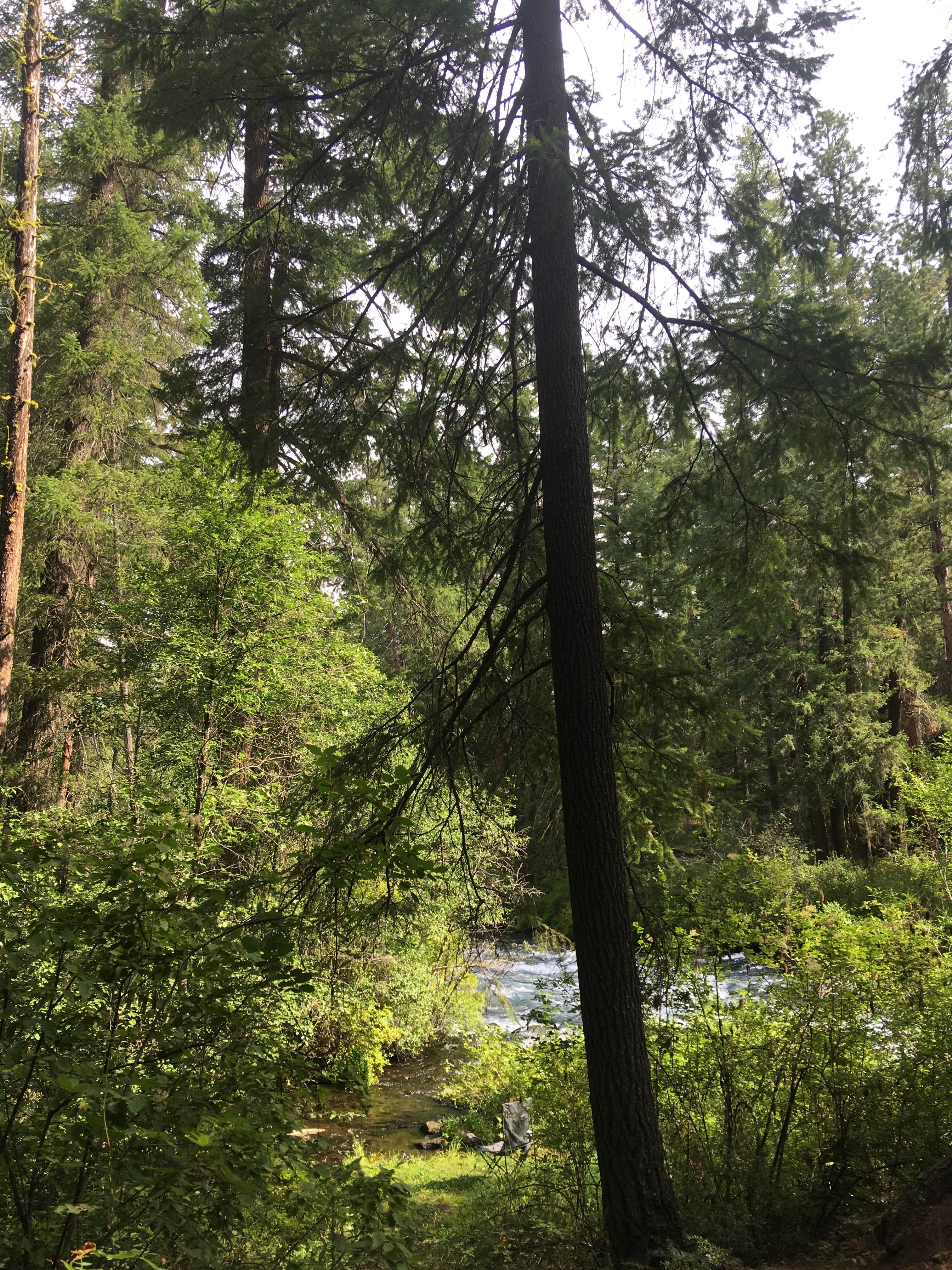 Candle Creek Campground The Dyrt