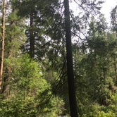 Review photo of Candle Creek Campground by Lindsay M., August 2, 2020