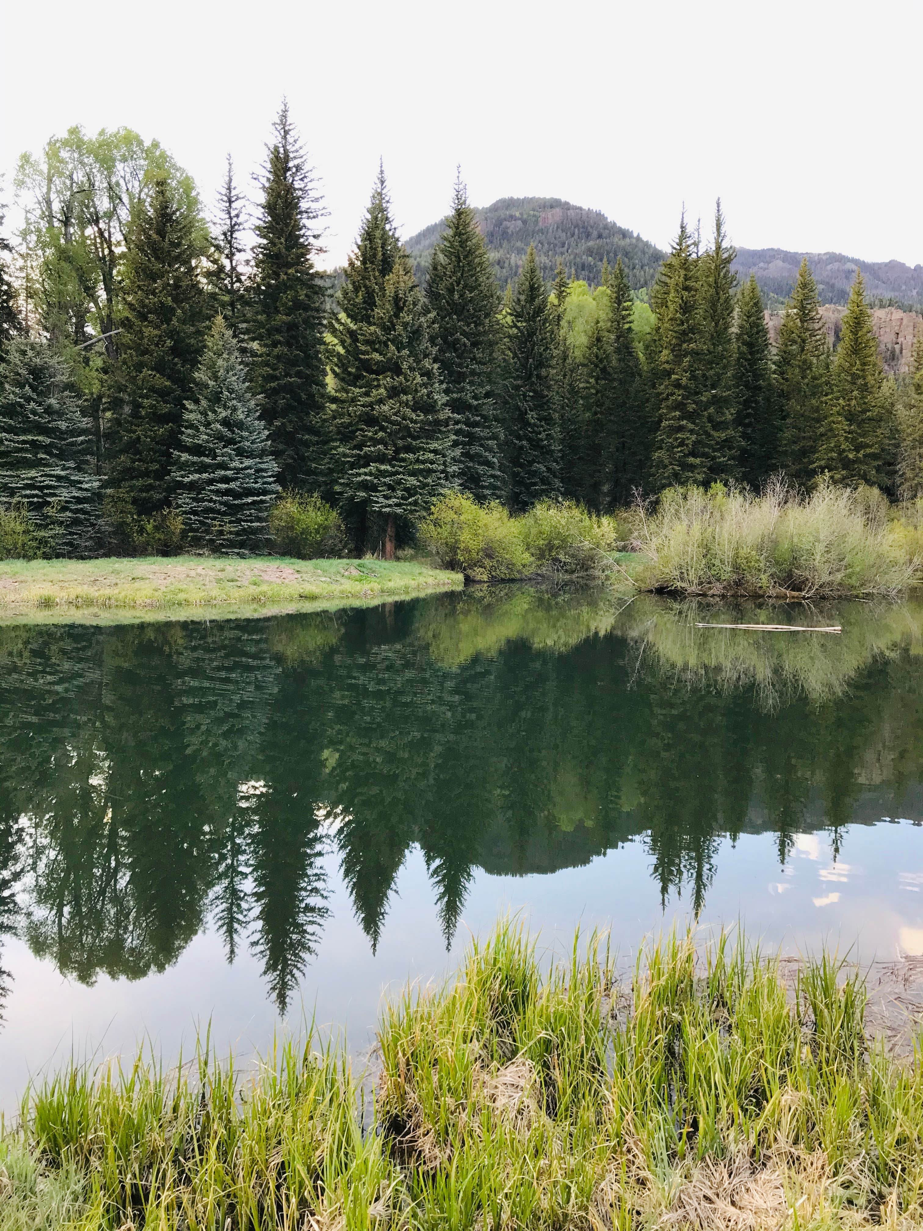 Camper-submitted photo at Bruce Spruce Ranch near Pagosa Springs, CO