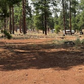 Review photo of Dogtown Lake Campground And Group by George B., August 2, 2020