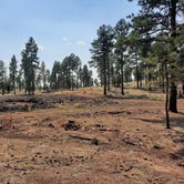 Review photo of Kaibab National Forest Dogtown Lake Campground by Randy B., August 2, 2020