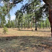 Review photo of Dogtown Lake Campground And Group by George B., August 2, 2020