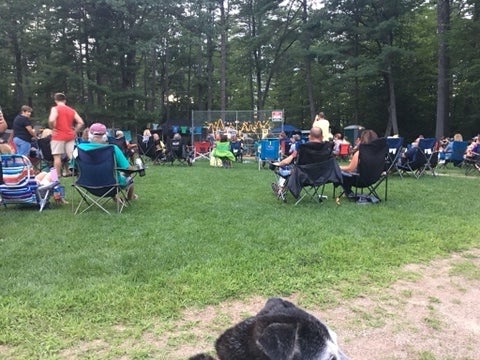 Live music in the field