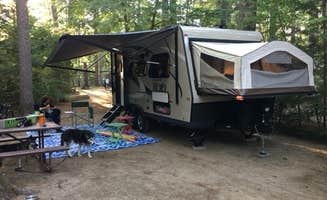 Andrew P.'s photo of camping with pets at Yogi Bear's Jellystone Park™ Camp Resort, Lakes Region near Rochester, NH