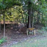 Review photo of Atlanta State Park Campground by Jennifer C., August 3, 2020