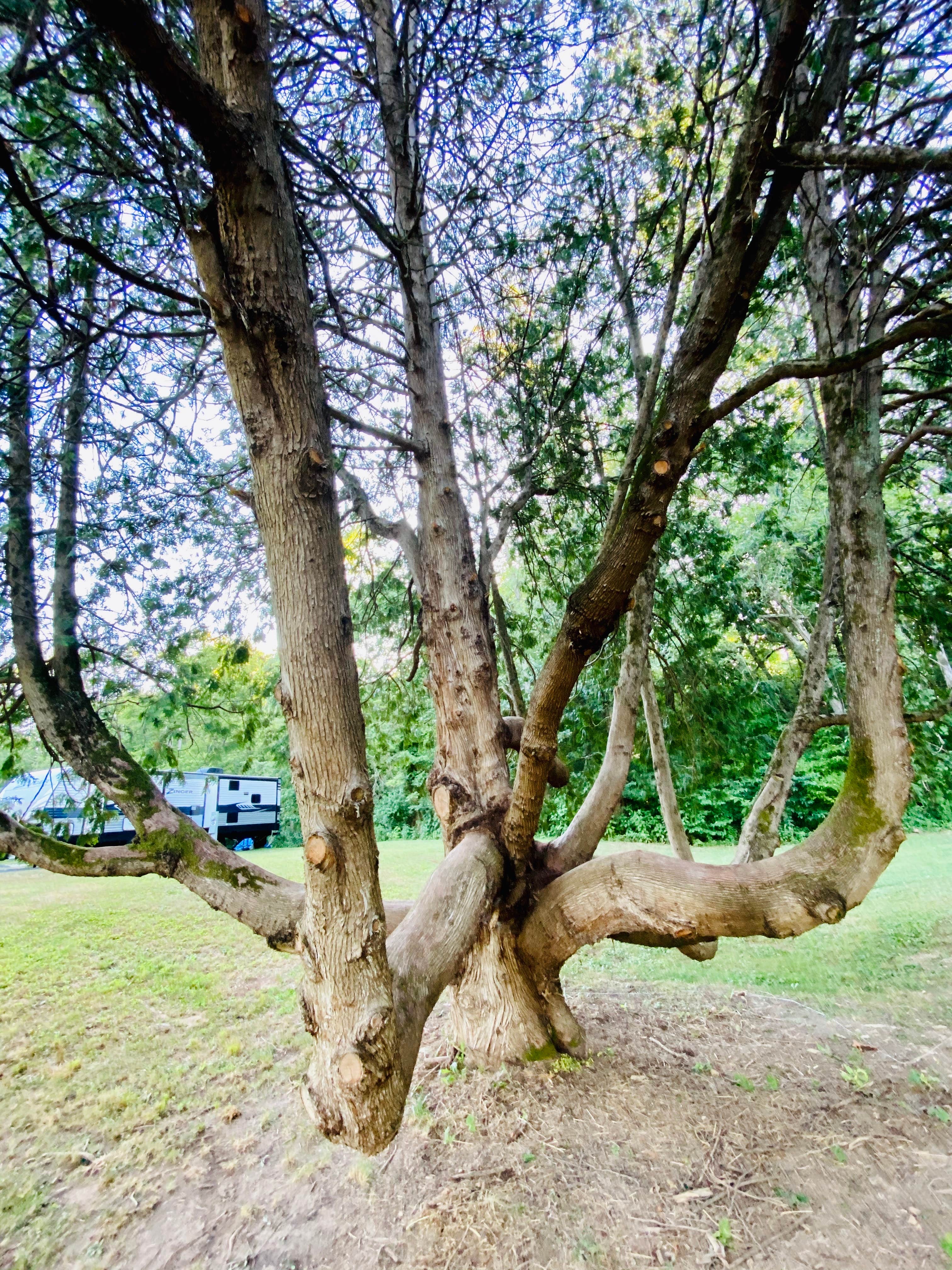 Camper-submitted photo at River’s Edge RV Park & Campground near McClure, PA