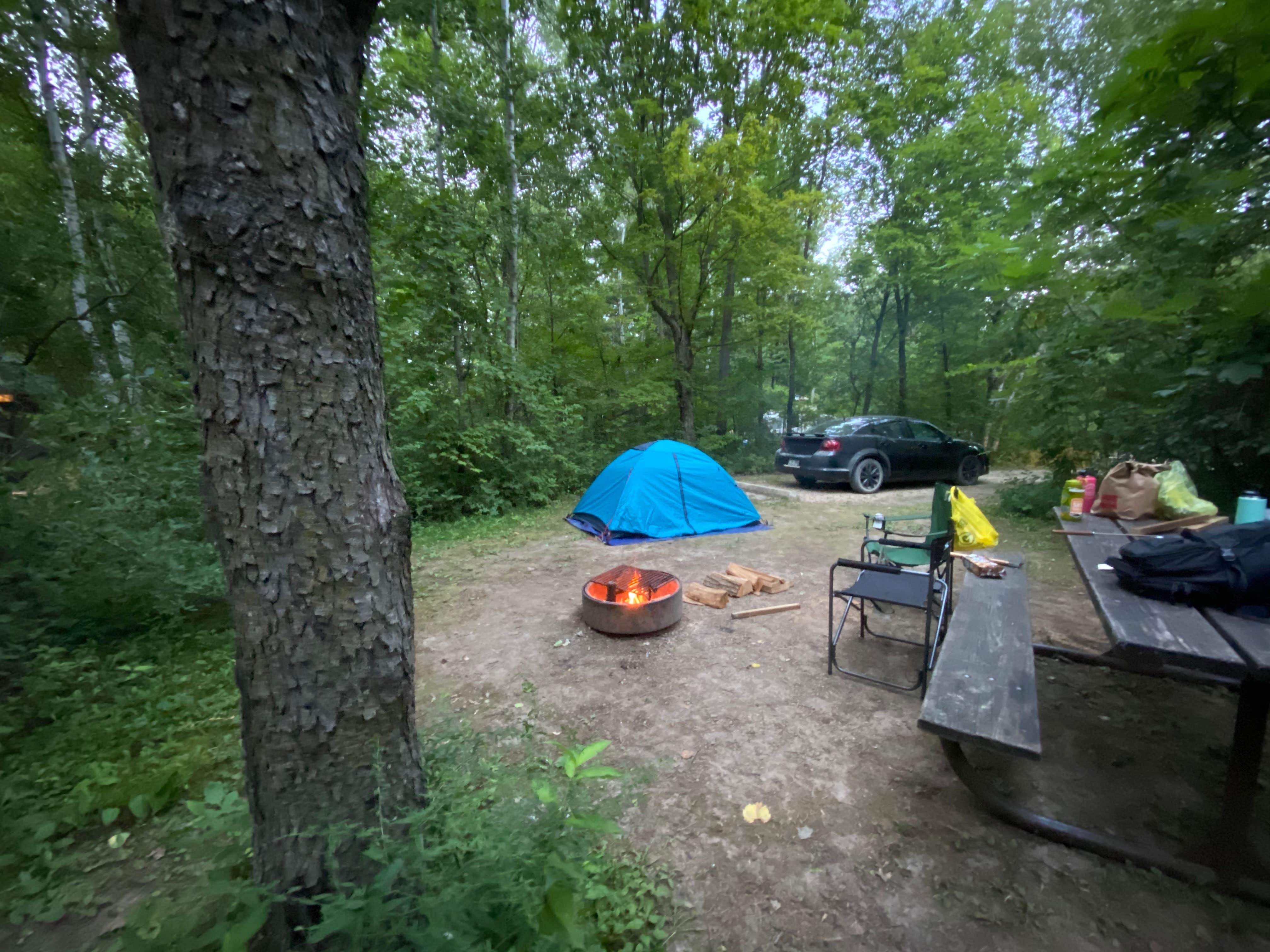 Stephanie K.'s photo at Great River Bluffs State Park Campground near La Crosse, WI