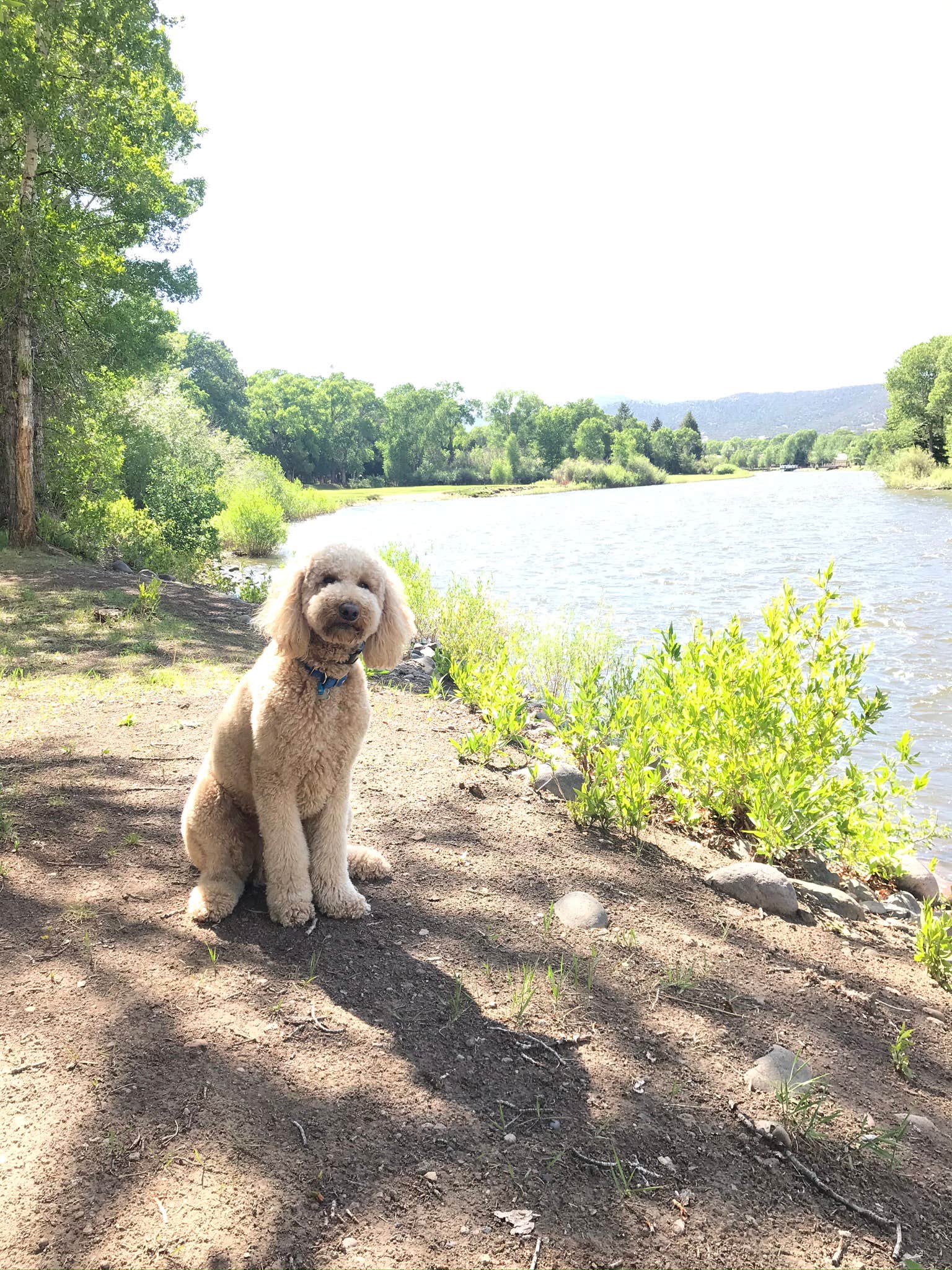 Camper-submitted photo at South Fork Campground near Mosca, CO