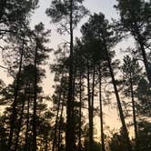 Review photo of White Spar Campground by Jordan H., August 3, 2020