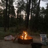 Review photo of White Spar Campground by Jordan H., August 3, 2020