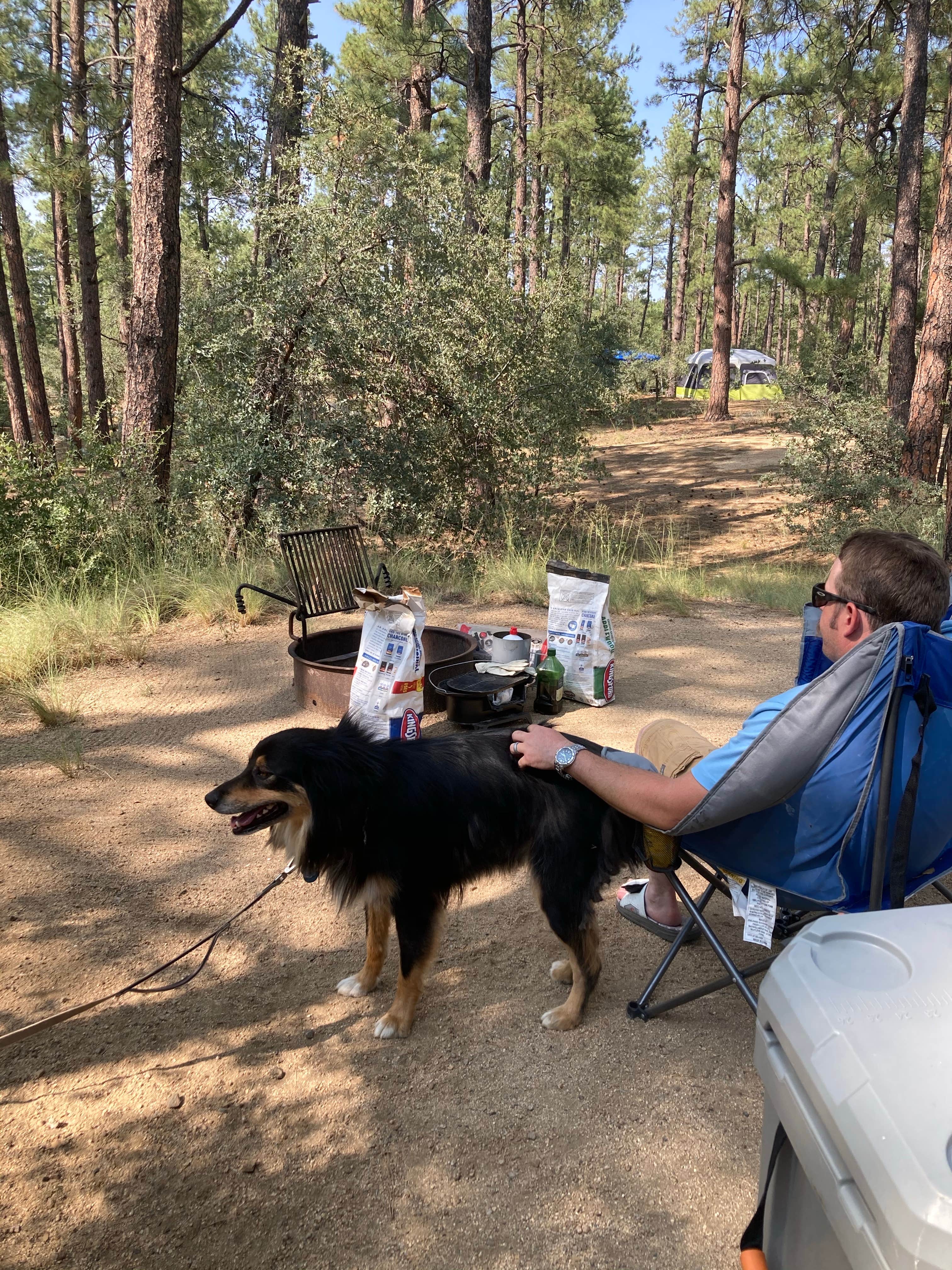 Jordan H.'s photo of camping with pets at White Spar Campground near Yarnell, AZ
