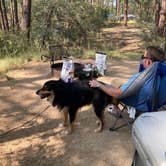 Review photo of White Spar Campground by Jordan H., August 3, 2020