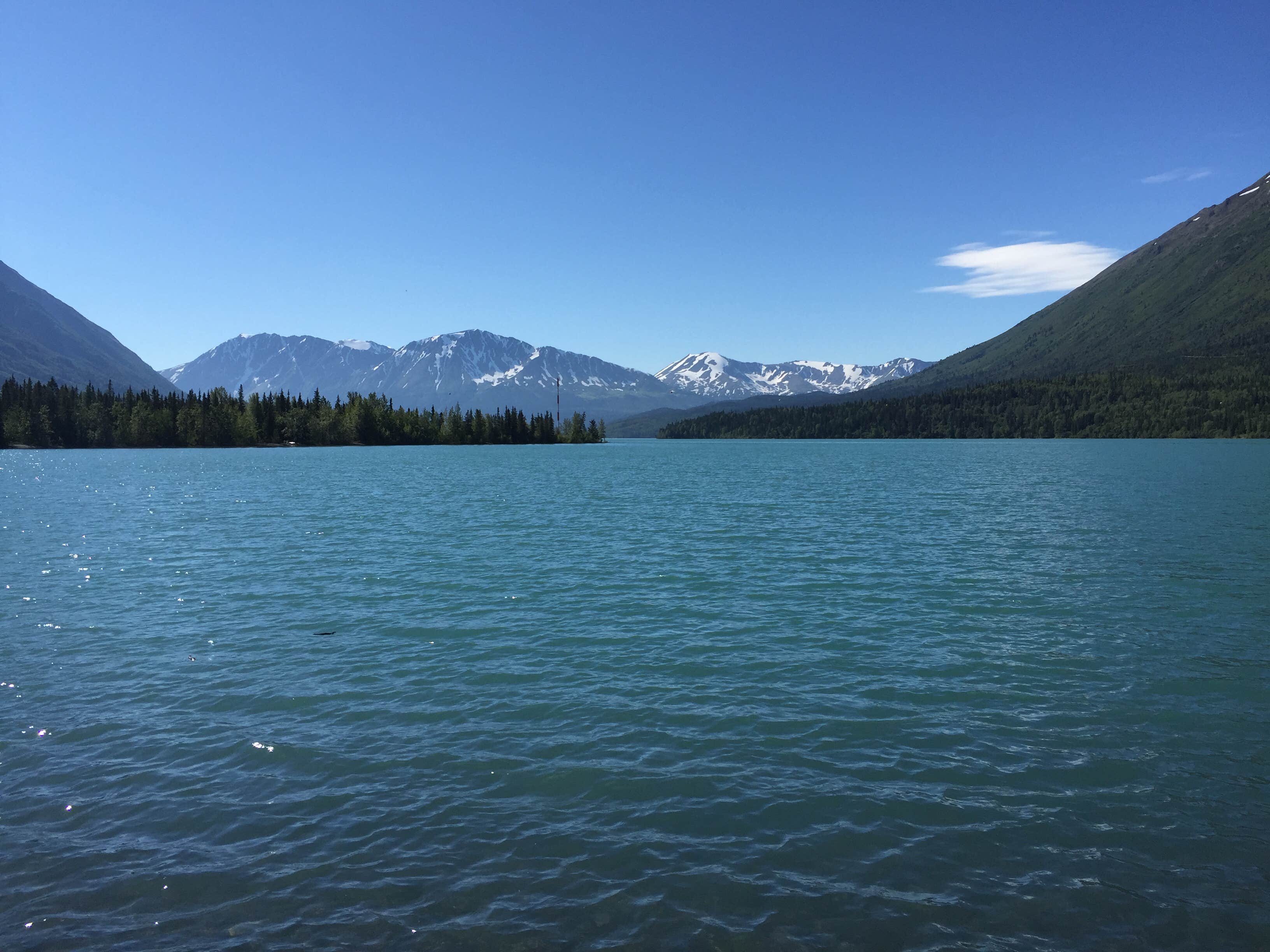Camper-submitted photo at Quartz Creek Campground near Chugach National Forest