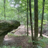 Review photo of O'Leno State Park Campground by Jenn B., August 3, 2020