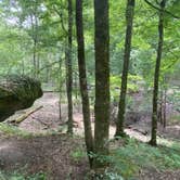 Review photo of Magnolia Campground — O'Leno State Park by Jenn B., August 3, 2020