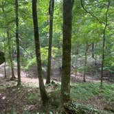 Review photo of Magnolia Campground — O'Leno State Park by Jenn B., August 3, 2020