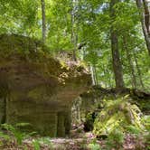 Review photo of Magnolia Campground — O'Leno State Park by Jenn B., August 3, 2020