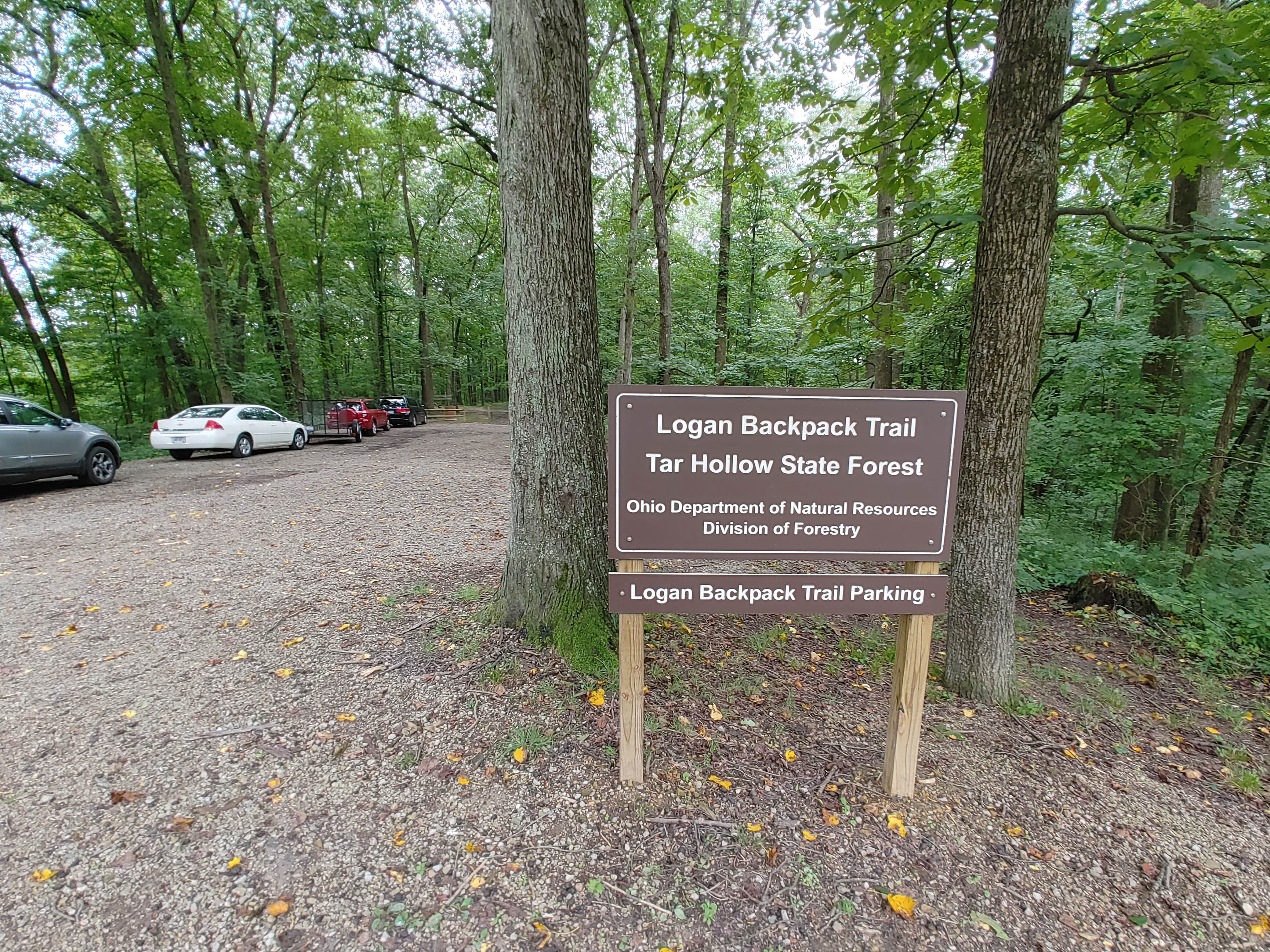 Camper-submitted photo at Tar Hollow State Park Campground near Lockbourne, OH