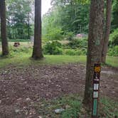 Review photo of Tar Hollow State Park Campground by Kenpocentaur K., August 3, 2020