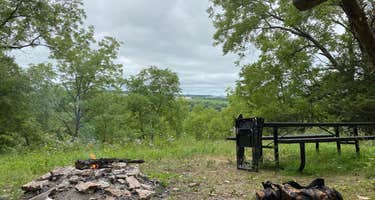 Richard J Dorer Memorial Hardwood Forest Isinours Management Unit
