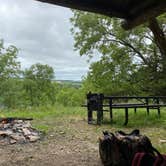 Review photo of Richard J Dorer Memorial Hardwood Forest Isinours Management Unit by Stephanie K., August 3, 2020