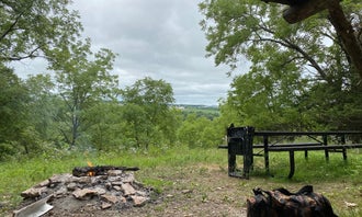 Camping near The Old Barn Resort: Richard J Dorer Memorial Hardwood Forest Isinours Management Unit, Preston, Minnesota